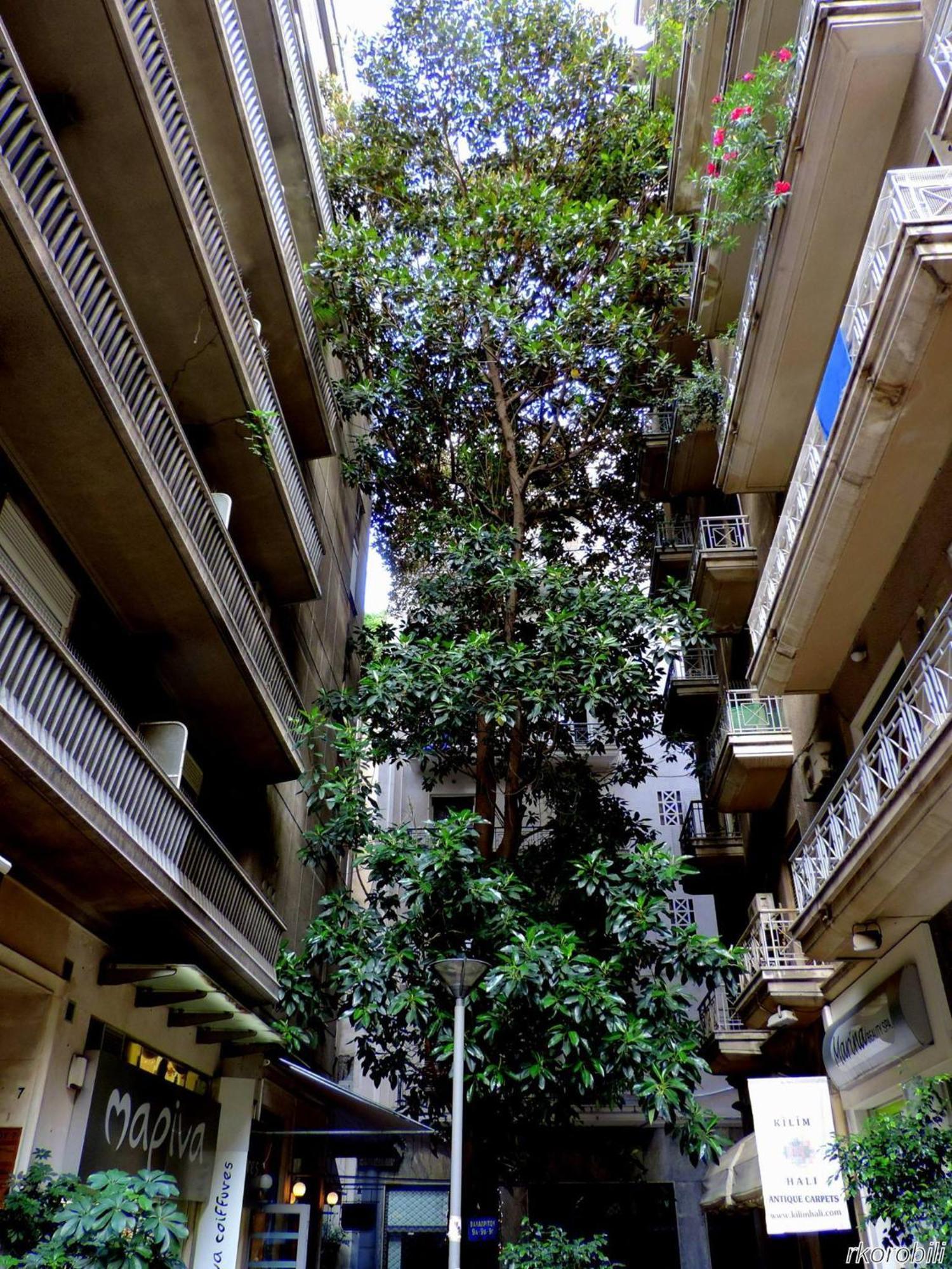 Stay At Premium Syntagma Location - Experience 1 Athén Kültér fotó